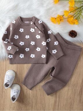 SHEIN Mauve Knit Baby Sweater Set